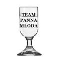 team panna mloda