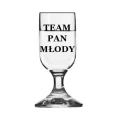 team pan mlody