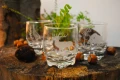Szklanki do whisky mysliwski grawer